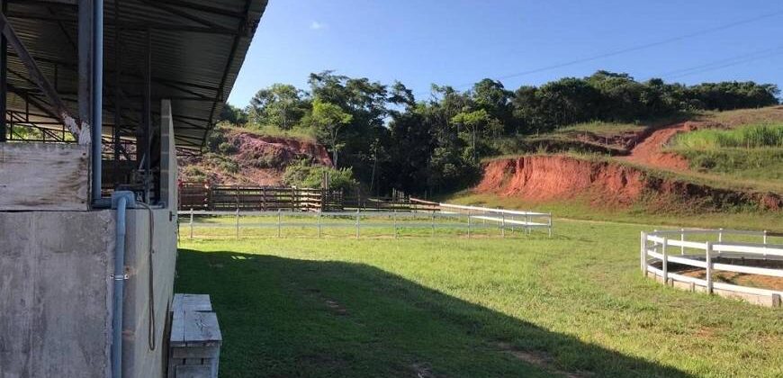 Fazenda/Sítio à Venda por R$ 2.500.000