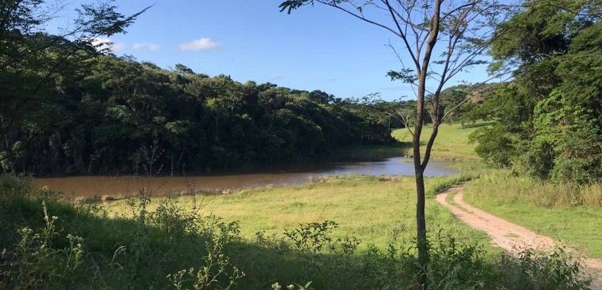 Fazenda/Sítio à Venda por R$ 2.500.000