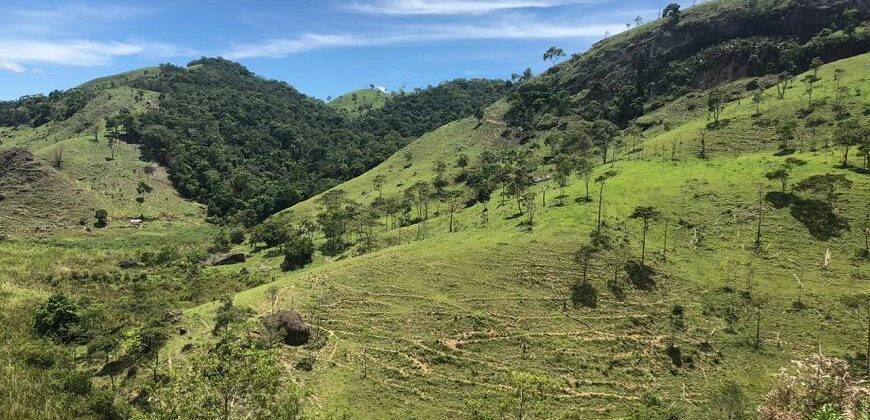 Fazenda/Sítio com 1 Quarto e 2 banheiros à Venda por R$ 8.500.000