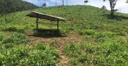 Fazenda/Sítio com 1 Quarto e 2 banheiros à Venda por R$ 8.500.000