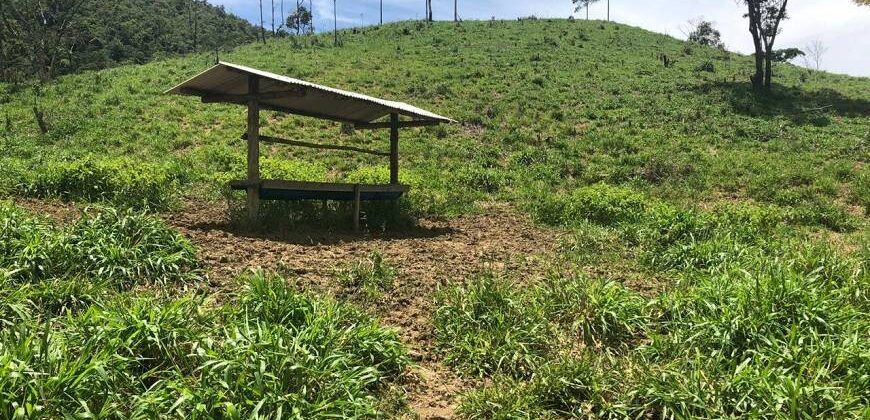 Fazenda/Sítio com 1 Quarto e 2 banheiros à Venda por R$ 8.500.000