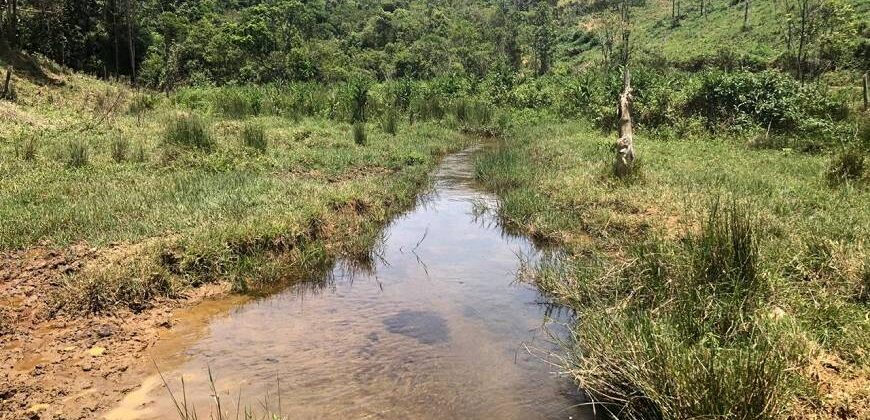 Fazenda/Sítio com 1 Quarto e 2 banheiros à Venda por R$ 8.500.000