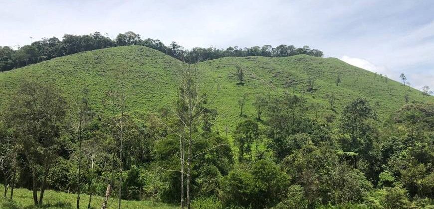 Fazenda/Sítio com 1 Quarto e 2 banheiros à Venda por R$ 8.500.000