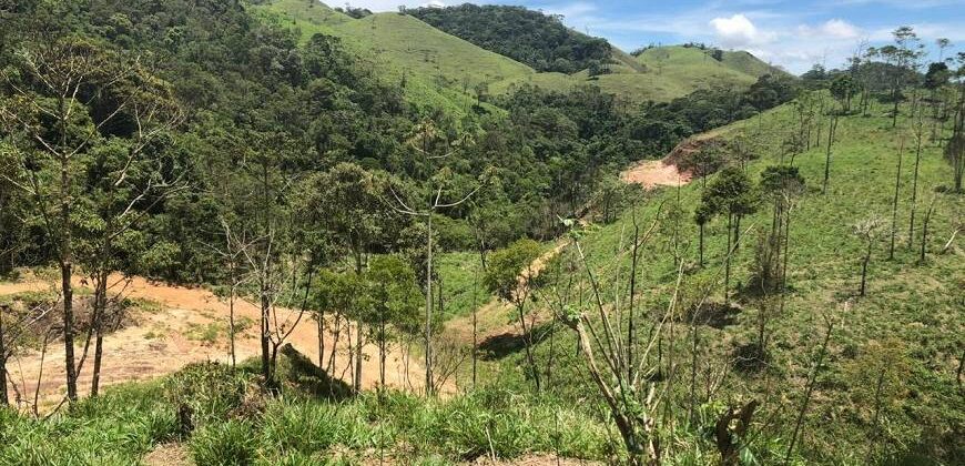 Fazenda/Sítio com 1 Quarto e 2 banheiros à Venda por R$ 8.500.000