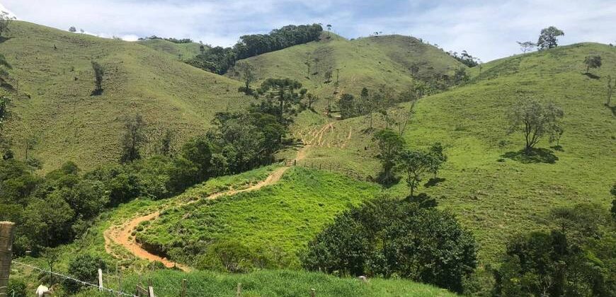 Fazenda/Sítio com 1 Quarto e 2 banheiros à Venda por R$ 8.500.000