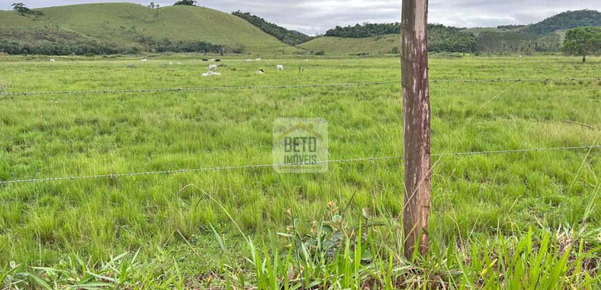 Fazenda 206 alqueires, beirando Rio São João e BR 101 com 2 km