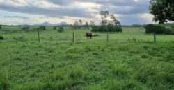 Fazenda/Sítio à Venda, 1120000 m² por R$ 4.500.000