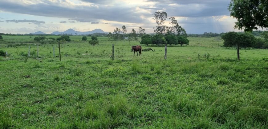 Fazenda/Sítio à Venda, 1120000 m² por R$ 4.500.000