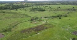 Fazenda/Sítio à Venda, 1120000 m² por R$ 4.500.000