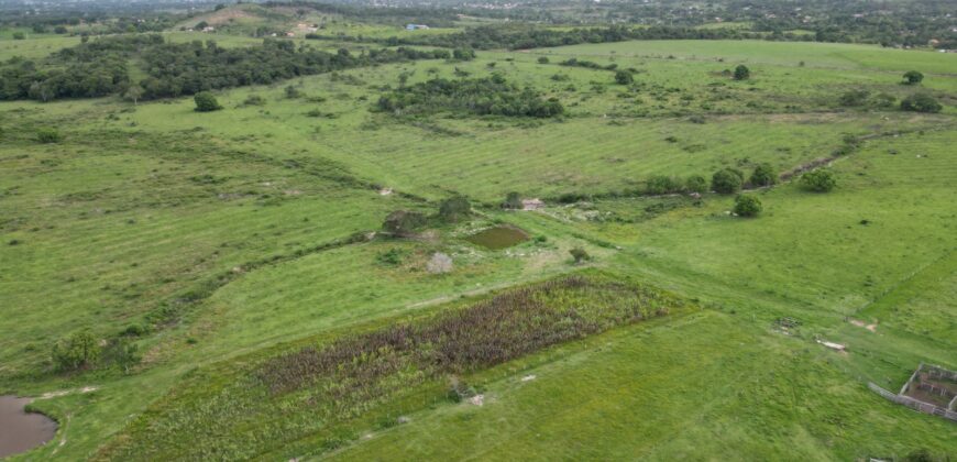 Fazenda/Sítio à Venda, 1120000 m² por R$ 4.500.000