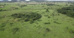 Fazenda/Sítio à Venda, 1120000 m² por R$ 4.500.000