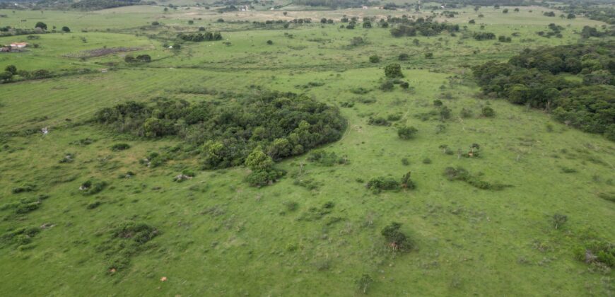 Fazenda/Sítio à Venda, 1120000 m² por R$ 4.500.000