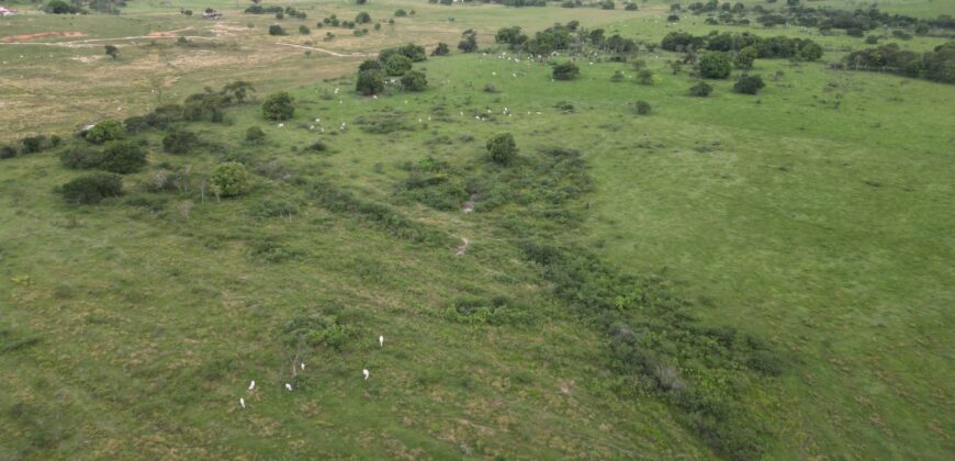 Fazenda/Sítio à Venda, 1120000 m² por R$ 4.500.000