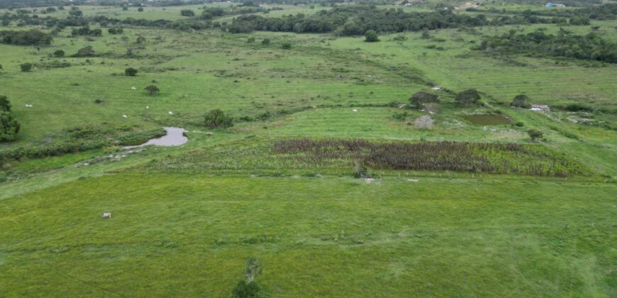 Fazenda/Sítio à Venda, 1120000 m² por R$ 4.500.000