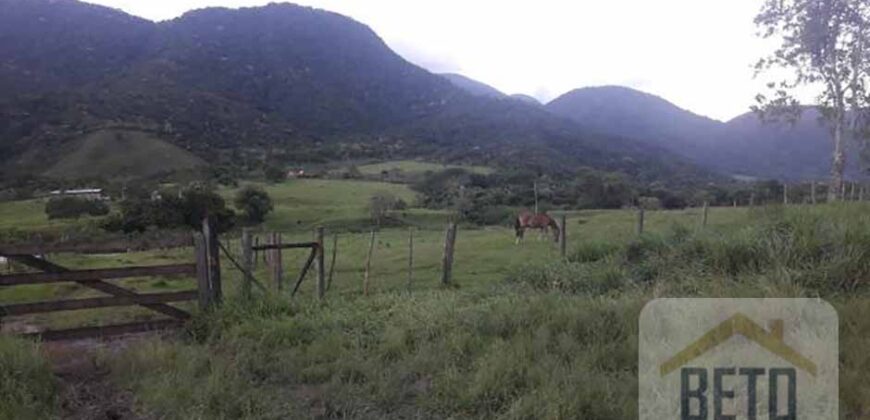 Fazenda para venda 307 alqueires em Casimiro de Abreu