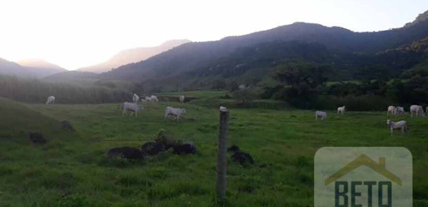 Fazenda para venda 307 alqueires em Casimiro de Abreu