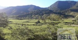 Fazenda para venda 307 alqueires em Casimiro de Abreu