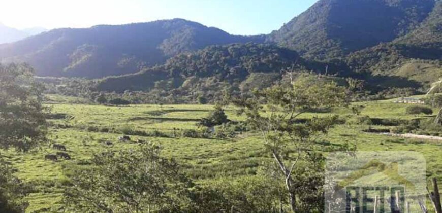 Fazenda para venda 307 alqueires em Casimiro de Abreu