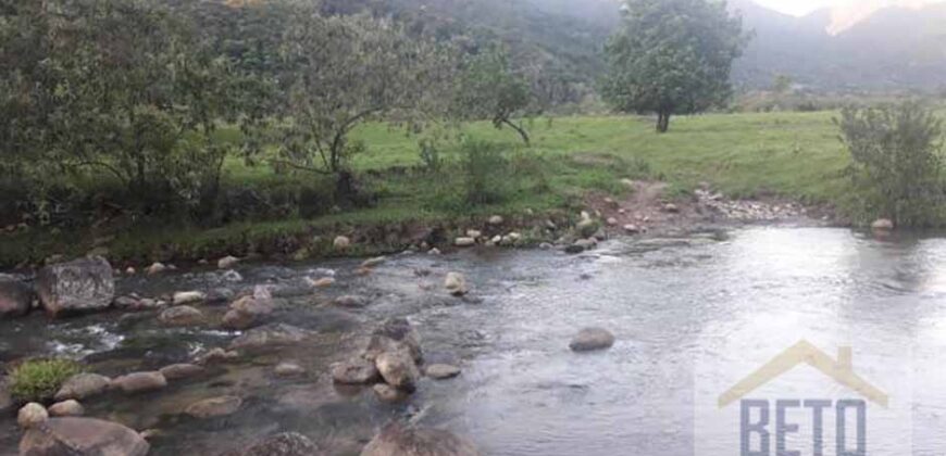 Fazenda para venda 307 alqueires em Casimiro de Abreu