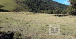 Fazenda para venda 307 alqueires em Casimiro de Abreu