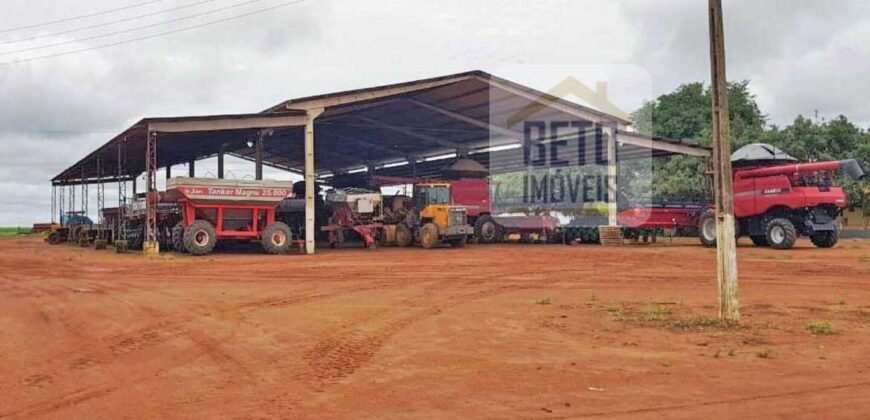 Fazenda com dupla aptidão disponível para venda em Carolina – Maranhão