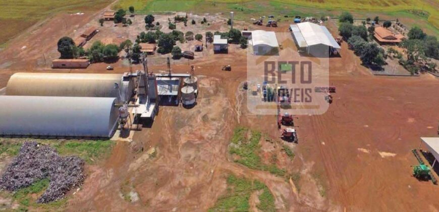 Fazenda com dupla aptidão disponível para venda em Carolina – Maranhão