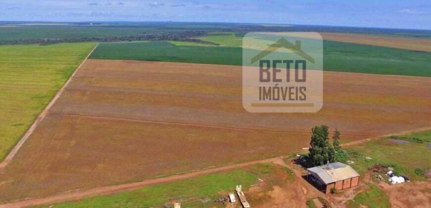 Fazenda com dupla aptidão disponível para venda em Carolina – Maranhão