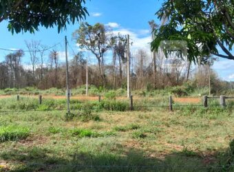 Fazenda com plantação/1574 hectares em União do Sul – MT