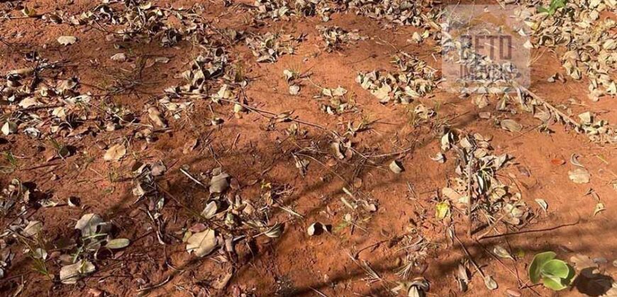 Fazenda toda no cerrado 3.305 Alqueires. em Alto Parnaíba – MA