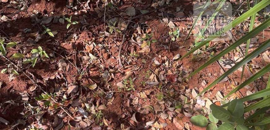 Fazenda toda no cerrado 3.305 Alqueires. em Alto Parnaíba – MA