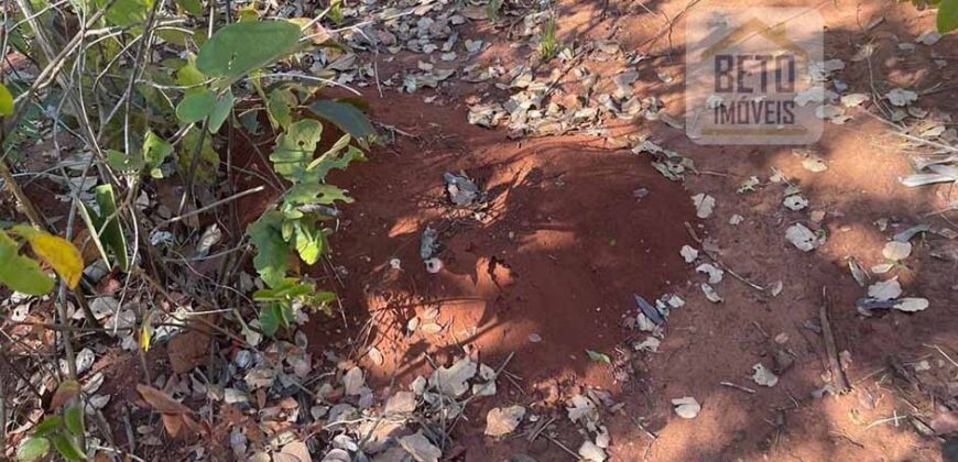 Fazenda toda no cerrado 3.305 Alqueires. em Alto Parnaíba – MA