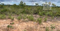 Fazenda toda no cerrado 3.305 Alqueires. em Alto Parnaíba – MA