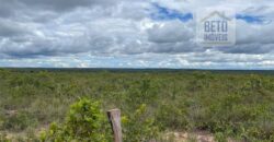 Fazenda toda no cerrado 3.305 Alqueires. em Alto Parnaíba – MA