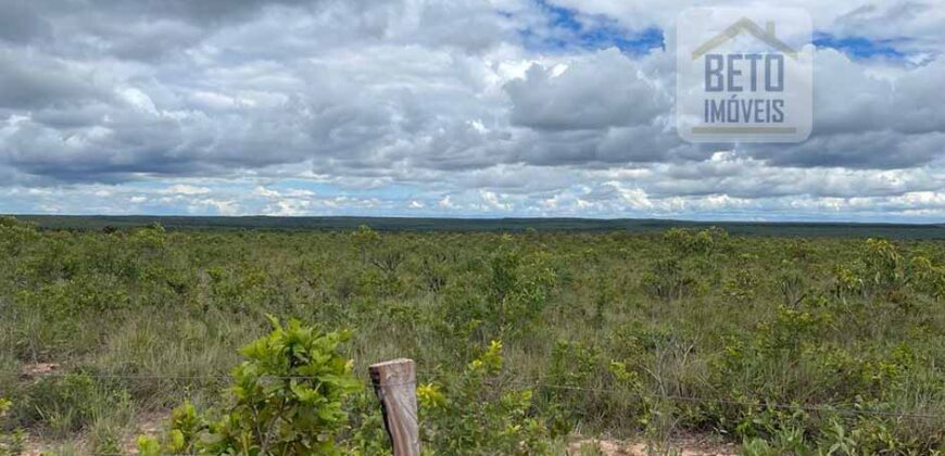 Fazenda toda no cerrado 3.305 Alqueires. em Alto Parnaíba – MA