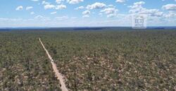 Fazenda toda no cerrado 3.305 Alqueires. em Alto Parnaíba – MA