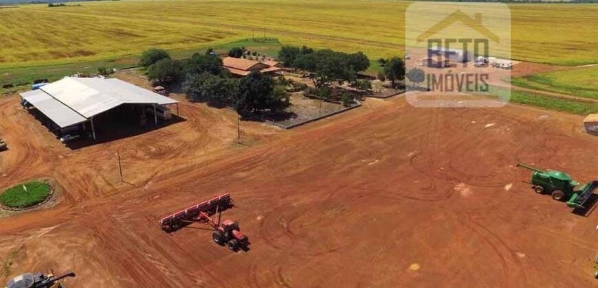 Fazenda com dupla aptidão disponível para venda em Carolina – Maranhão