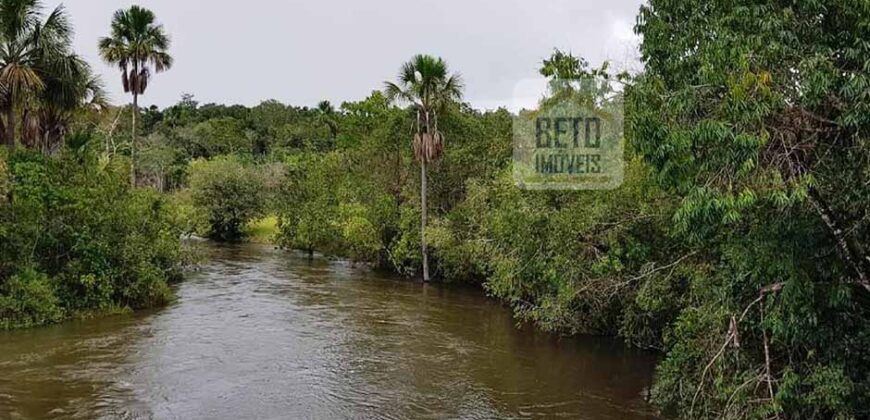 Fazenda com dupla aptidão disponível para venda em Carolina – Maranhão