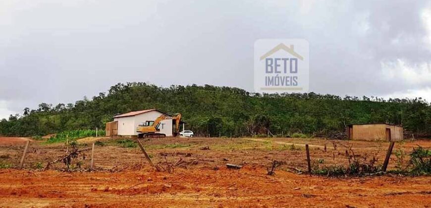 Fazenda com dupla aptidão disponível para venda em Carolina – Maranhão