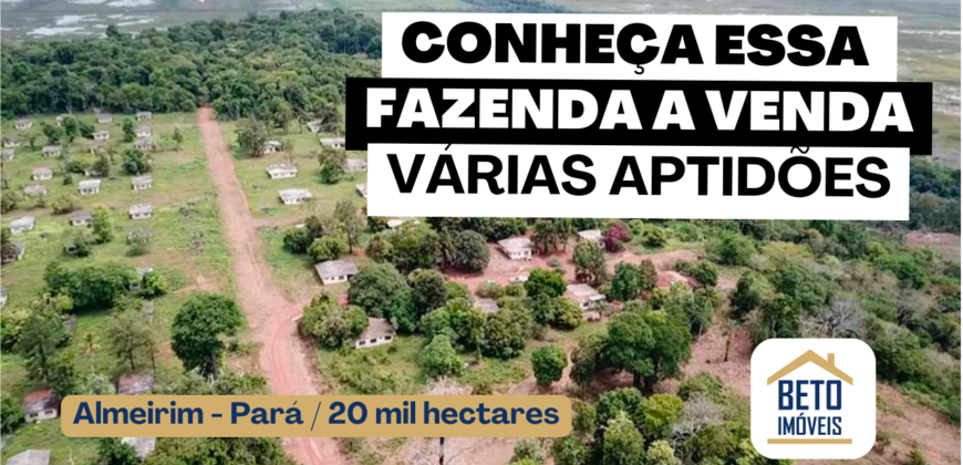 Fazenda com 20.000 Hectares em Almeirim – Pará