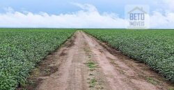 Fazenda com 21750 hectares em São Félix de Balsas – MA