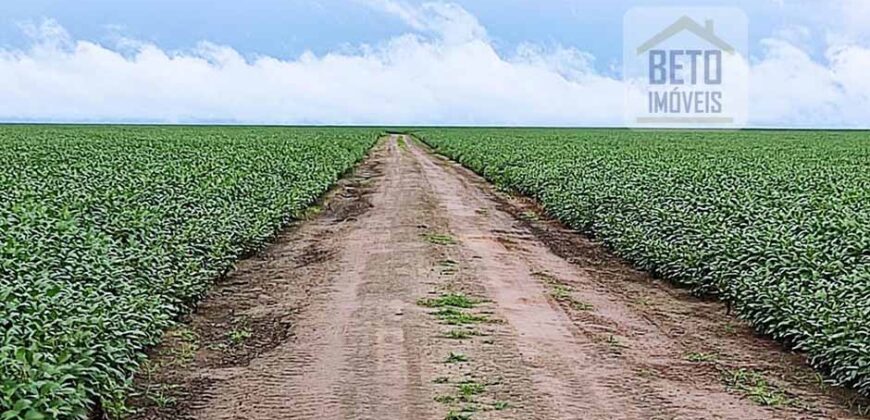 Fazenda com 21750 hectares em São Félix de Balsas – MA