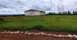 Fazenda com 21750 hectares em São Félix de Balsas – MA