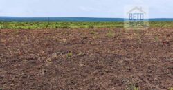 Fazenda com 21750 hectares em São Félix de Balsas – MA