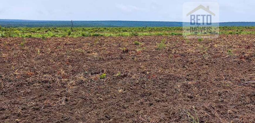 Fazenda com 21750 hectares em São Félix de Balsas – MA