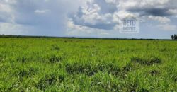 Fazenda em Presidente Kenedy – TO com 3.5843.584 alqueires