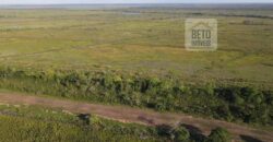 Fazenda com 20.000 Hectares em Almeirim – Pará