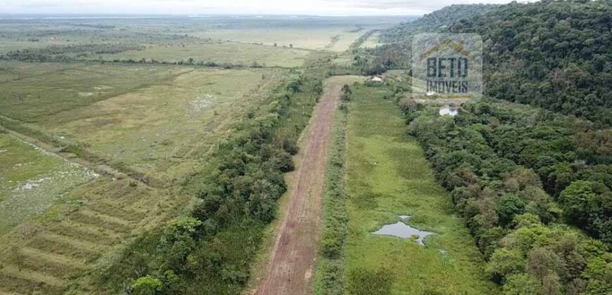 Fazenda com 20.000 Hectares em Almeirim – Pará