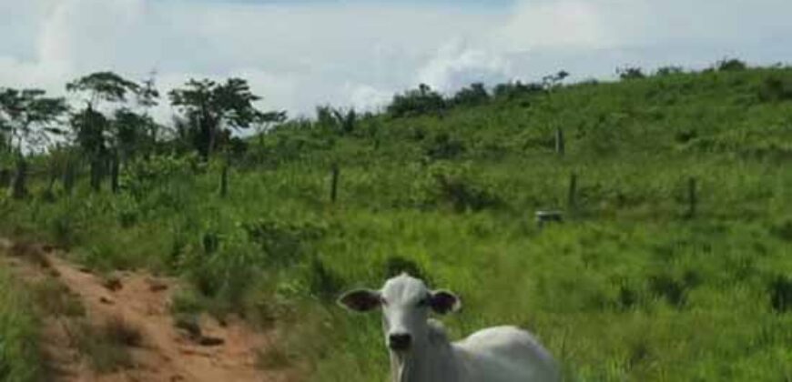 Fazenda com 25 mil hectares em Área Rural de Araxá – Araxá – MG