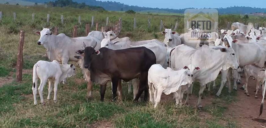 Fazenda com 25 mil hectares em Área Rural de Araxá – Araxá – MG