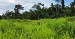 Fazenda com 25 mil hectares em Área Rural de Araxá – Araxá – MG